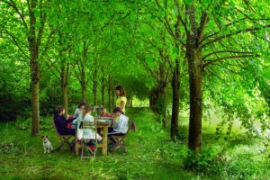 Picnic in the Garden