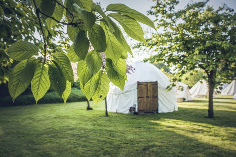 Yurts at Ballintubbert Gardens & House