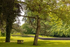 Garden view at Ballintubbert